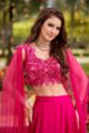 Radiant Rani Pink Lehenga Set in Georgette Chiffon - Image 2