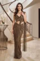 Truffle Brown Embellished Mesh Saree