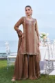 Elegant rose gold gharara suit in shimmer tissue fabric featuring a heavily embroidered neckline and border, paired with a matching sheer dupatta.