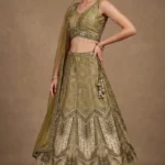 Olive Green Chanderi Printed Lehenga Set