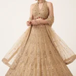 Beige Net Embellished Lehenga Set