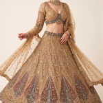 Beige Net Embroidered Lehenga Set