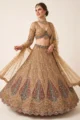 Beige Net Embroidered Lehenga Set