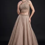 Beige Organza Lehenga Set