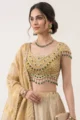 Gold Kanjivaram Silk Lehenga Set