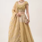 Gold Kanjivaram Silk Lehenga Set
