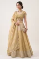 Gold Kanjivaram Silk Lehenga Set