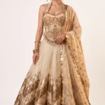 Beige Shimmer Tissue Embroidered Lehenga Set