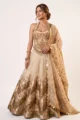 Beige Shimmer Tissue Embroidered Lehenga Set