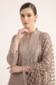 Close-up view of the dense handcrafted beadwork and zardozi embroidery on the V-neck bib of the Mocha Brown tissue silk kurta.