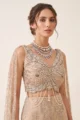 Champagne Net Embellished Fish cut Lehenga Set