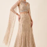 Champagne Net Embellished Fish cut Lehenga Set