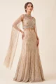 Champagne Net Embellished Fish cut Lehenga Set