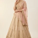 Magnificent Beige Silk Embroidered Lehenga Choli Set 1 Luxurious 3 Piece Outfit