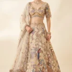 Luxurious Off-White Organza Embroidered Lehenga Choli Set 1 Premium 3 Piece Outfit
