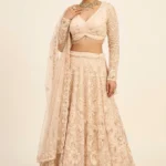Luxurious Cream Net Embroidered Lehenga Choli Set 1 Premium 3 Piece Outfit