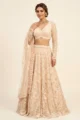 Luxurious Cream Net Embroidered Lehenga Choli Set 1 Premium 3 Piece Outfit